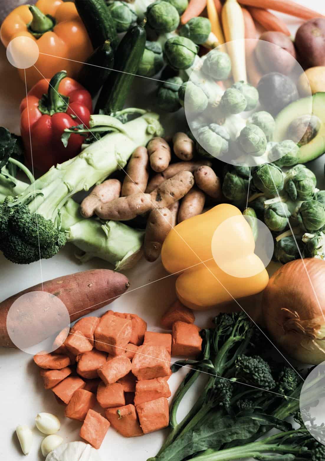 prueba de informe nutrigenetica